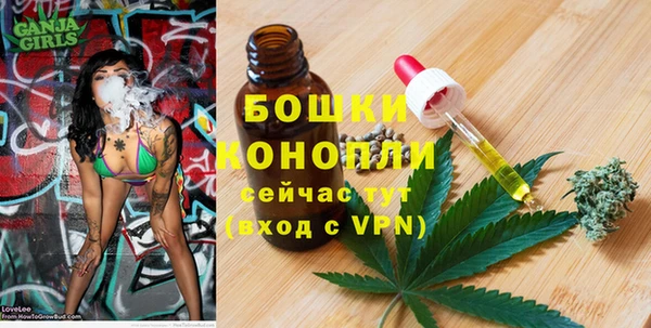 стафф Иннополис