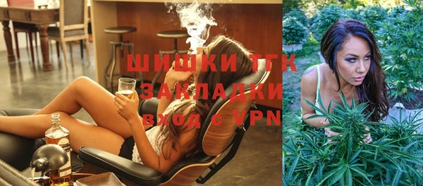 МДПВ Инта