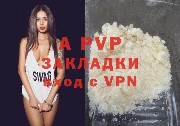 стафф Иннополис