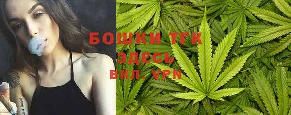 стафф Иннополис