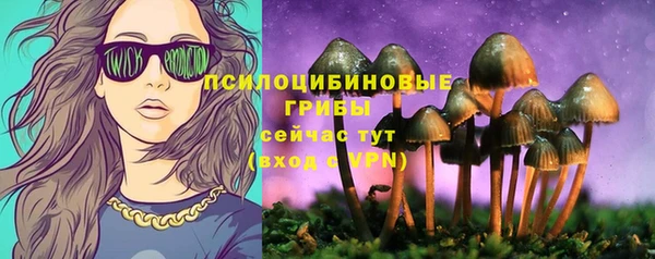 соль курить ск Инсар