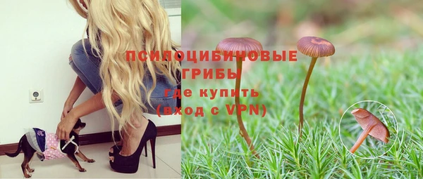 МДПВ Инта