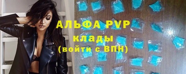 стафф Иннополис